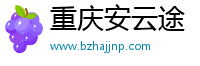 重庆安云途